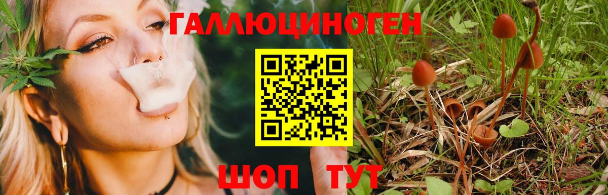 Галлюциногенные грибы ЛСД Назрань